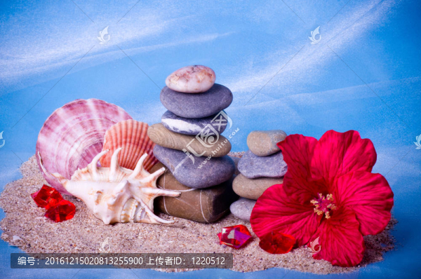 貝殼；石頭；珍珠和花