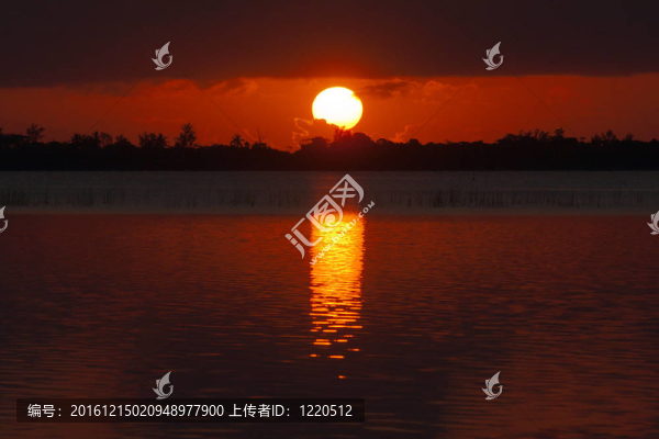 日出