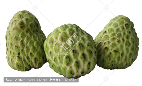 蛋奶凍蘋果