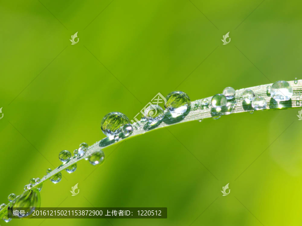 水滴