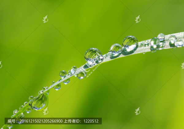 水滴