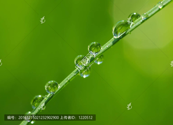 水滴