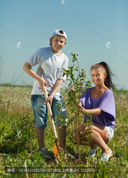 青少年的兒子設(shè)置樹的女人