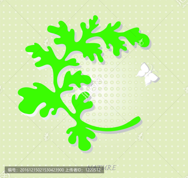 這白色的蝴蝶。