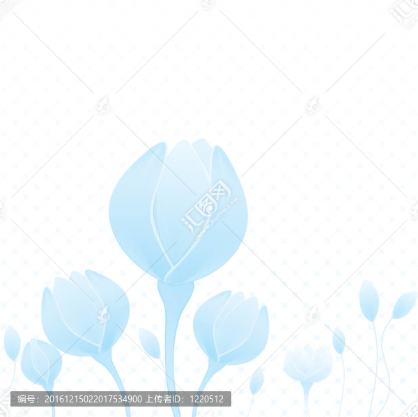 藍色的花