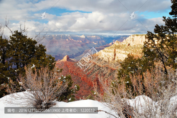 雪在冬天的大峽谷全景