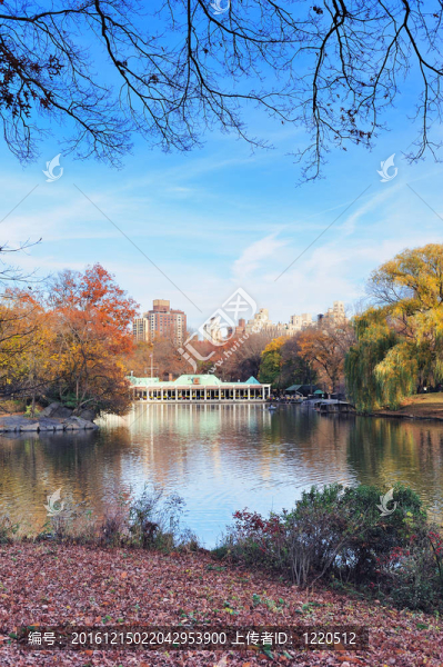 在紐約市中央公園的秋天