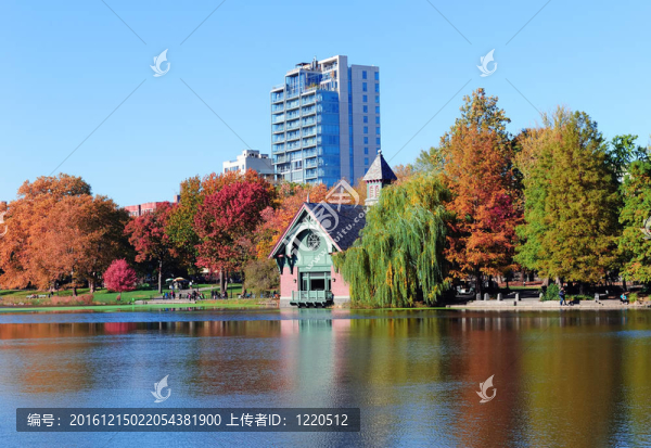 紐約市中央公園的秋天