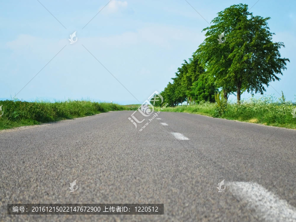 路線