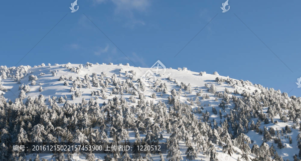 特羅多斯山區(qū)的冬景；
