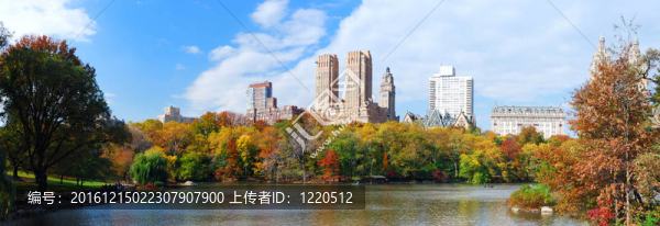 紐約市曼哈頓中央公園全景