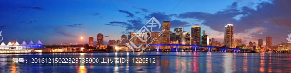 邁阿密的夜景