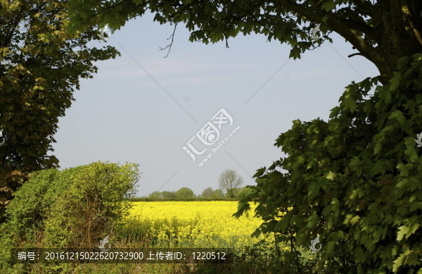 英國(guó)的鄉(xiāng)村