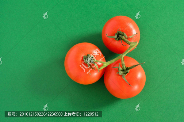 三番茄藤