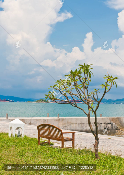 熱帶沙灘椅