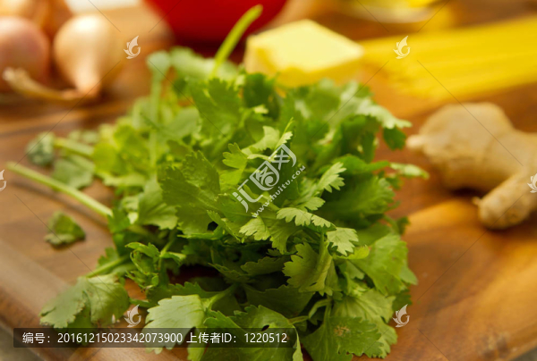 蕪荽特寫