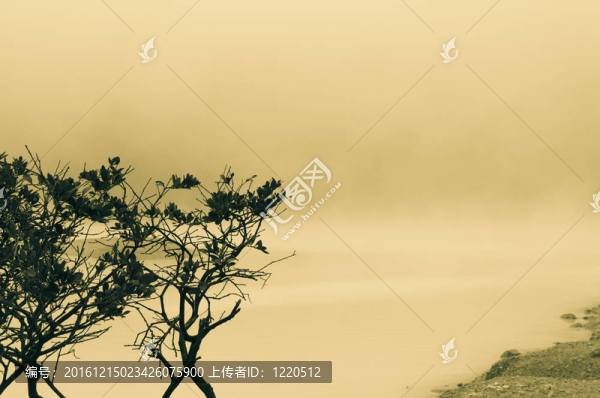 樹和霧湖分音
