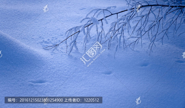 藍(lán)色的冬天