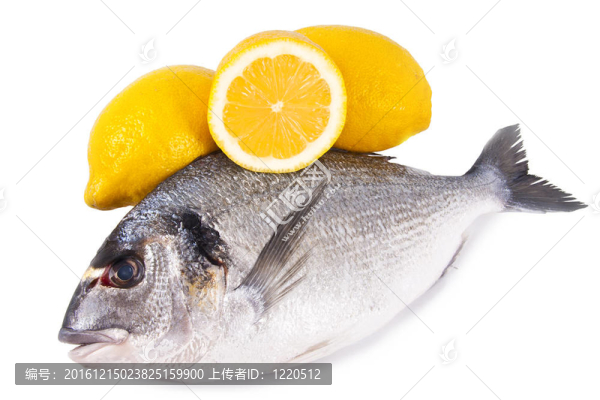 新鮮的魚白色背景