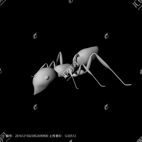 B,/,W的螞蟻模型