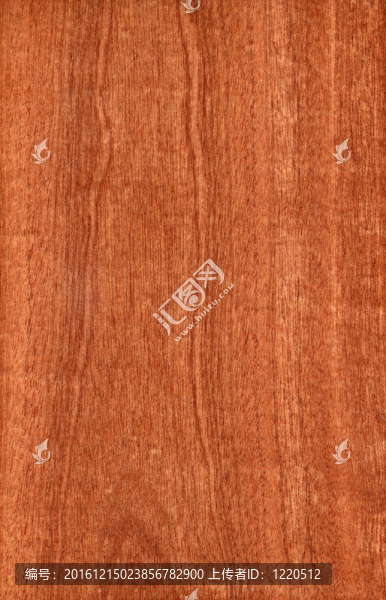 Sapele（木結構）