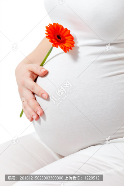 孕婦接觸這里的肚子