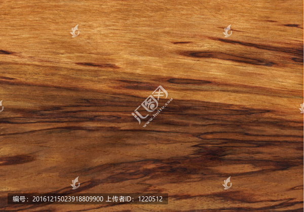Tiger,etimoe（木結(jié)構(gòu)）