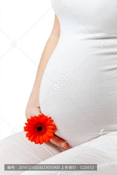 孕婦接觸這里的肚子