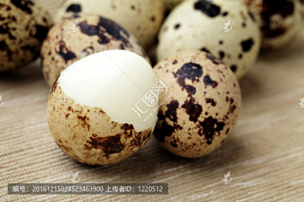 鵪鶉蛋組