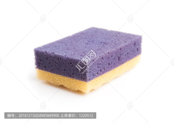 海綿