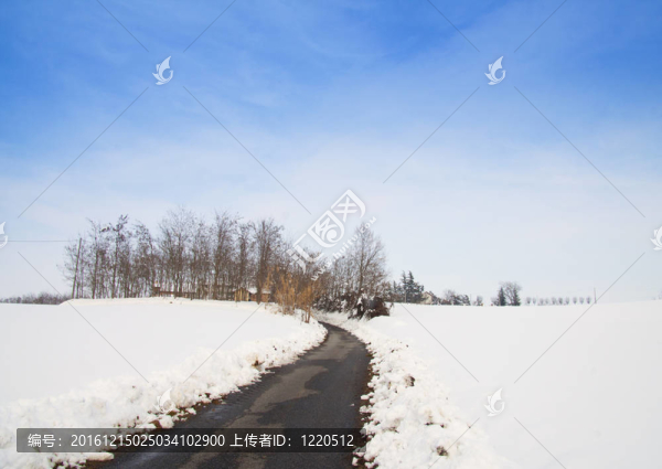 雪景