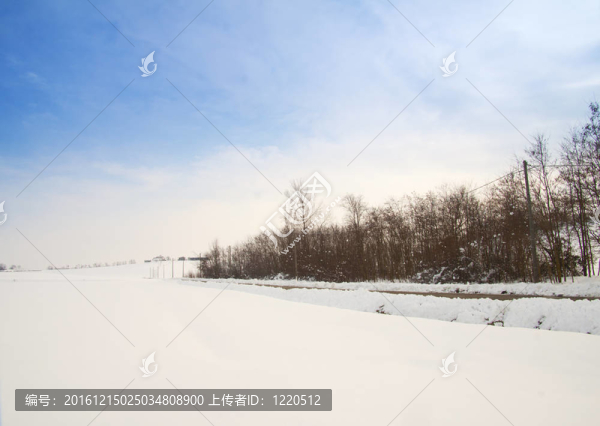 雪景