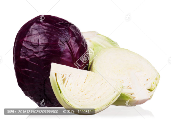 新鮮的卷心菜
