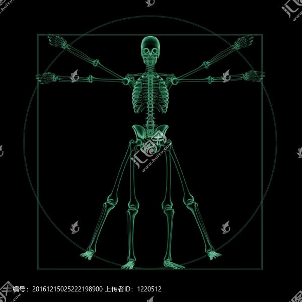 X射線；骨骼維特魯威人