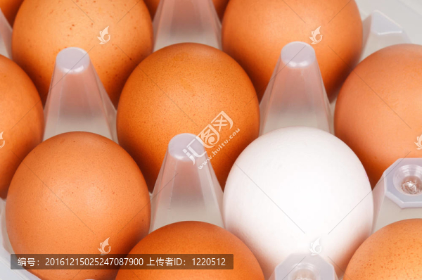 雞蛋盒