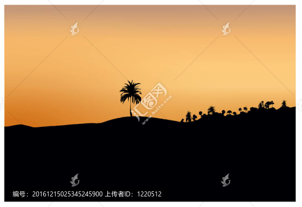 日落沙和樹(shù)木的黑色剪影