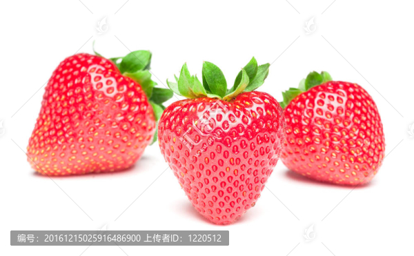 草莓