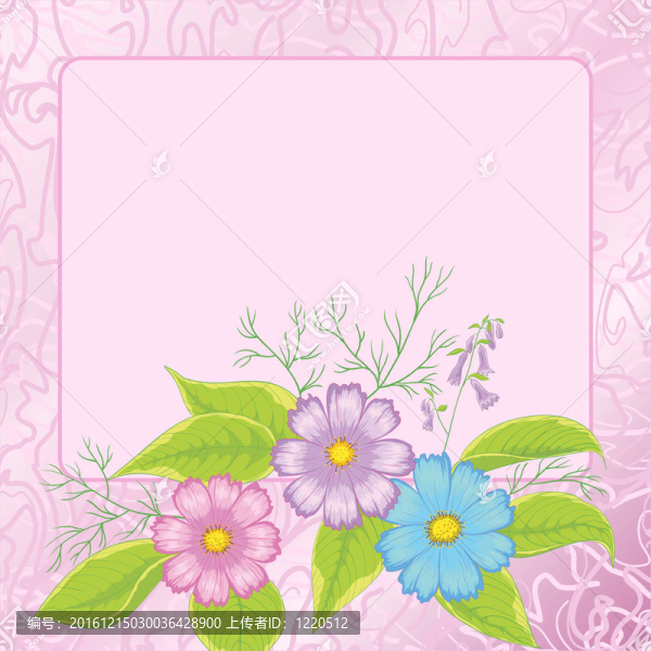 背景；花宇宙框架