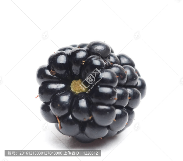 黑莓