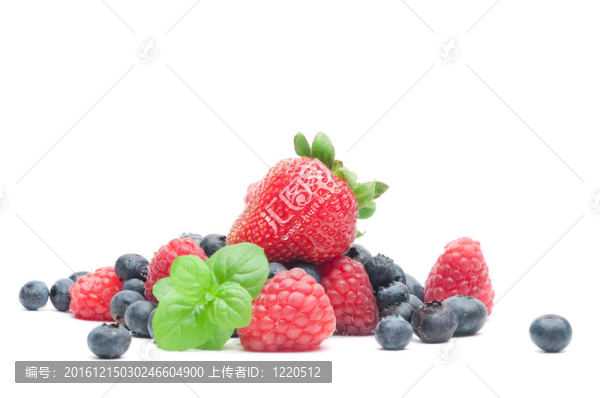 木材的漿果