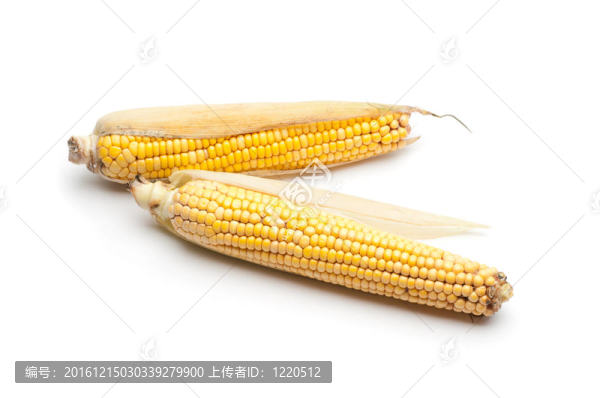 玉米