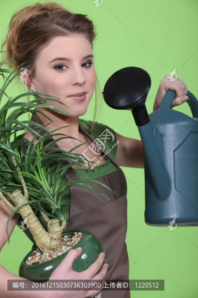 女人澆水室內(nèi)盆栽植物