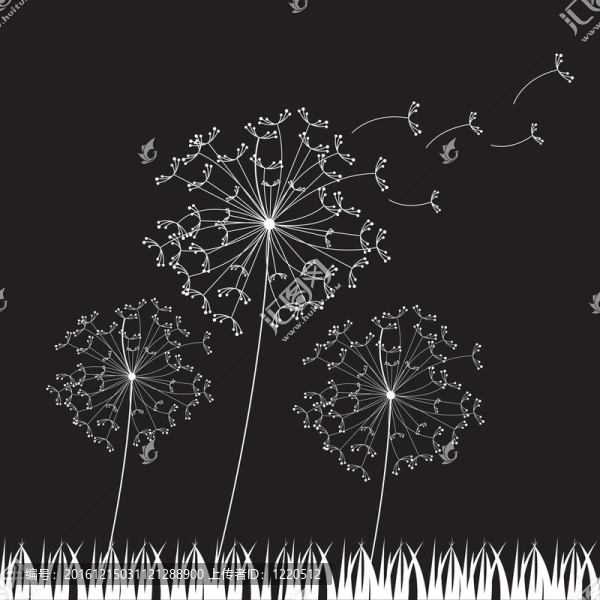 dandelios