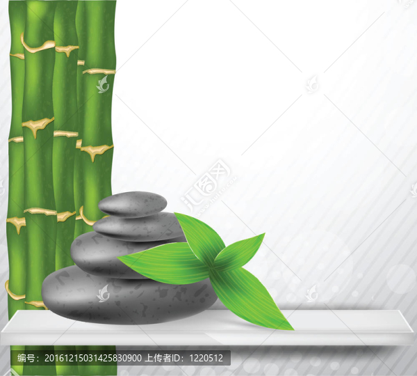 禪石竹