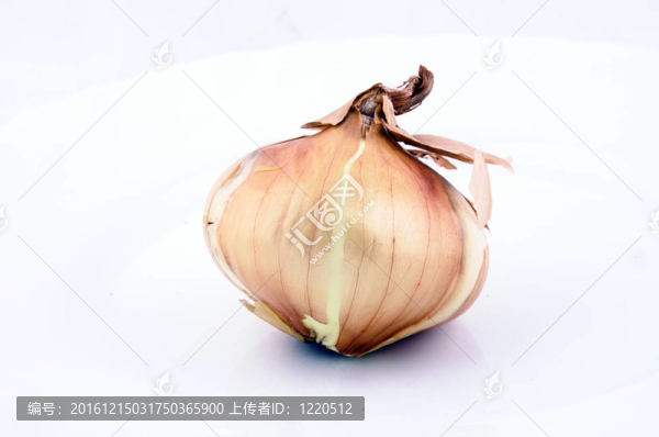 洋蔥