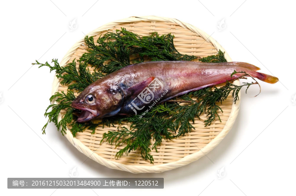布朗hakeling