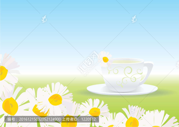 甘菊茶
