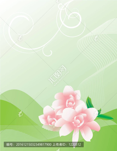 粉紅色的櫻花曲線
