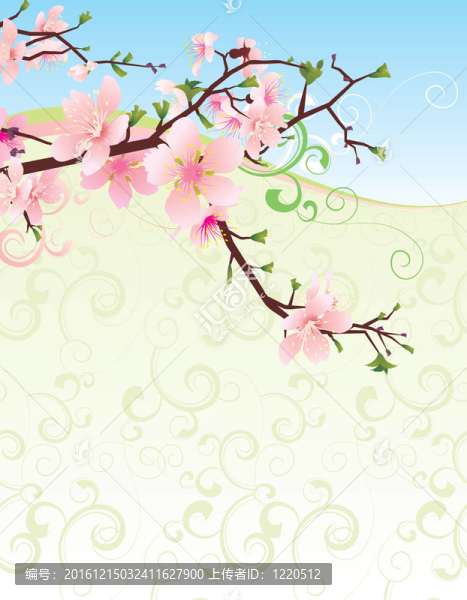 櫻花farame向量