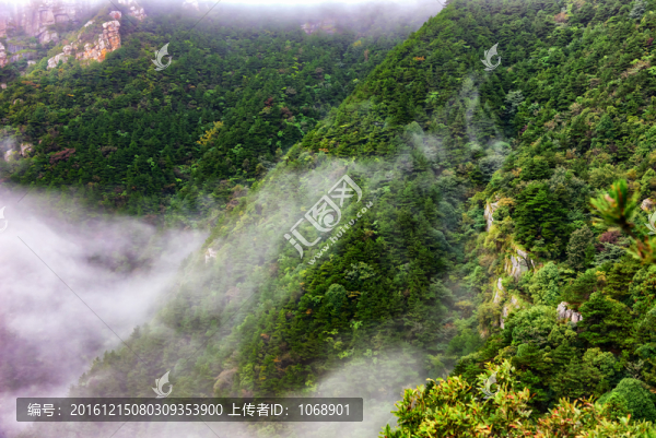 廬山風(fēng)光